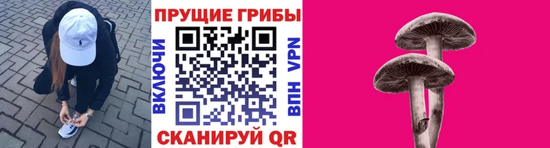Галлюциногенные грибы прущие грибы  Берёзовка 